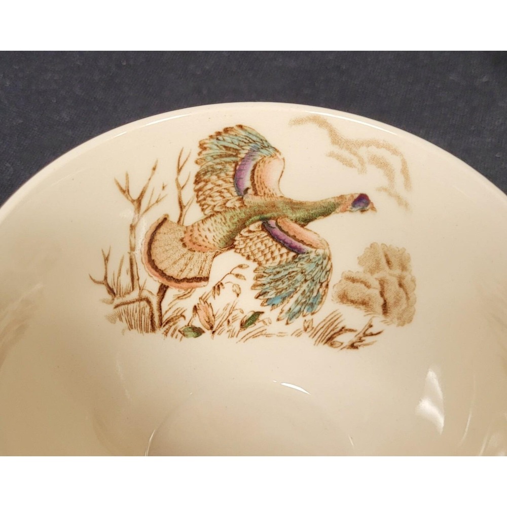 Wild Turkeys Windsor Ware Johnson Brothers Flat Cup & Saucer Set - Picture 7 of 11